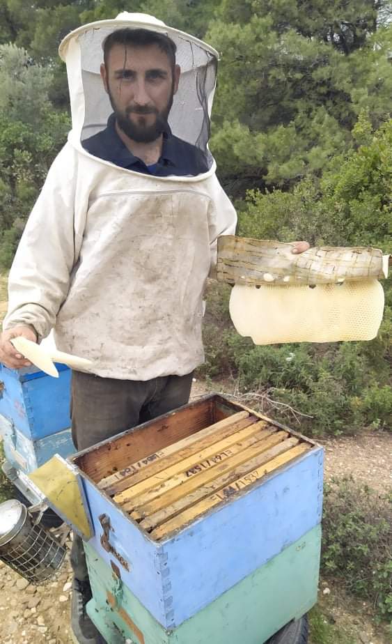 Beekeeper Triantafallus tending to his hives.