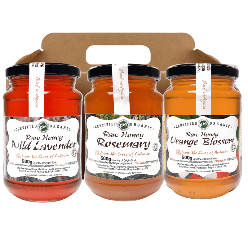 Raw Certified Organic Blossom Honey Gift Set