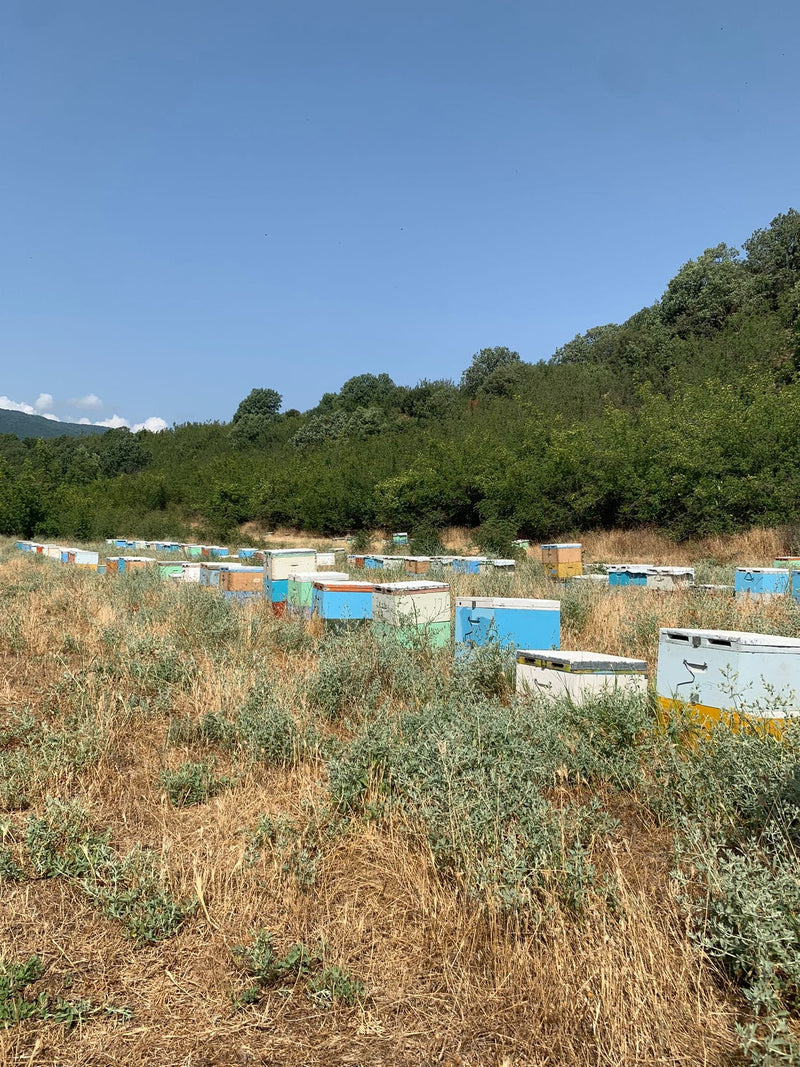 Beehives in Northern Greece