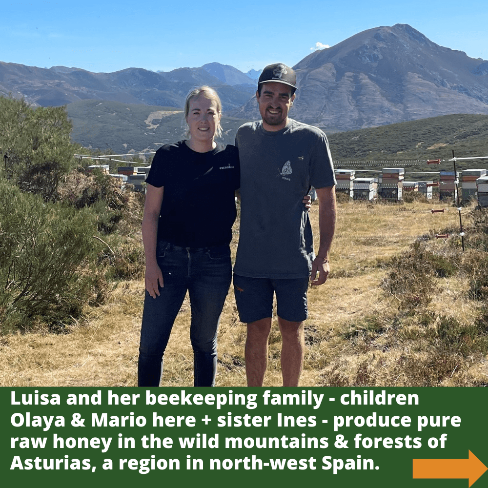 Beekeepers Olaya and Mario with multiple hives in mountainous area of Asturias, a region in north-west