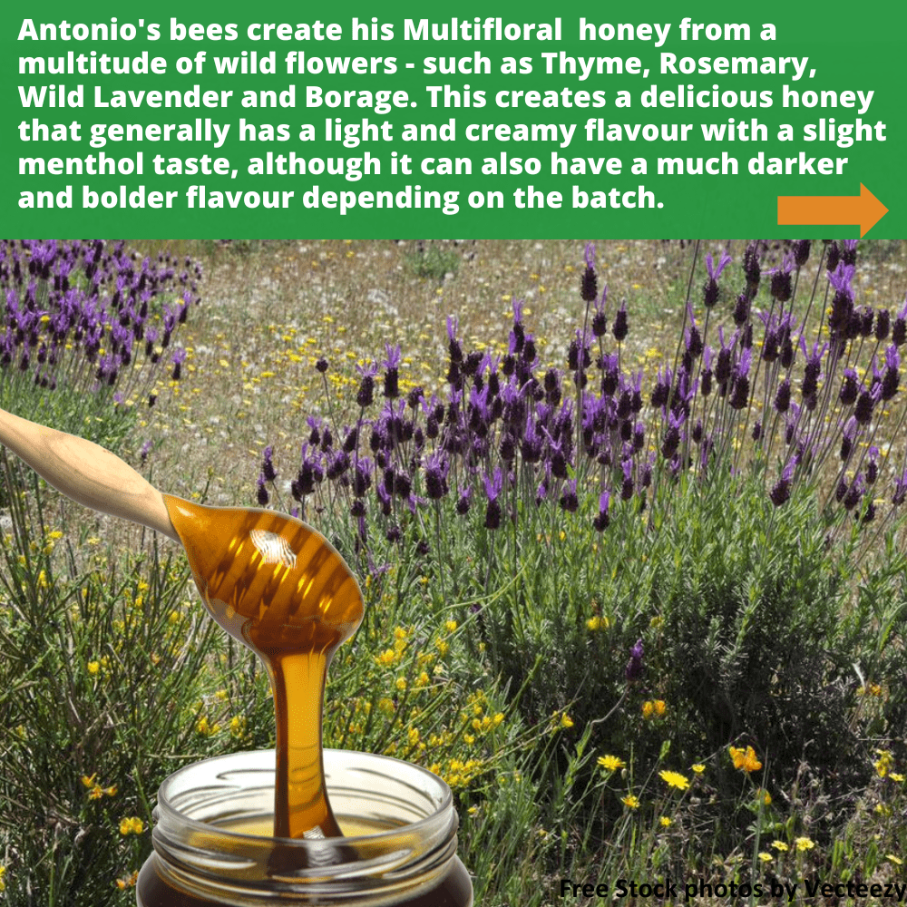 wooden honey dipper  pouring into open glass honey jar, against background of lavender and other wild flowers.