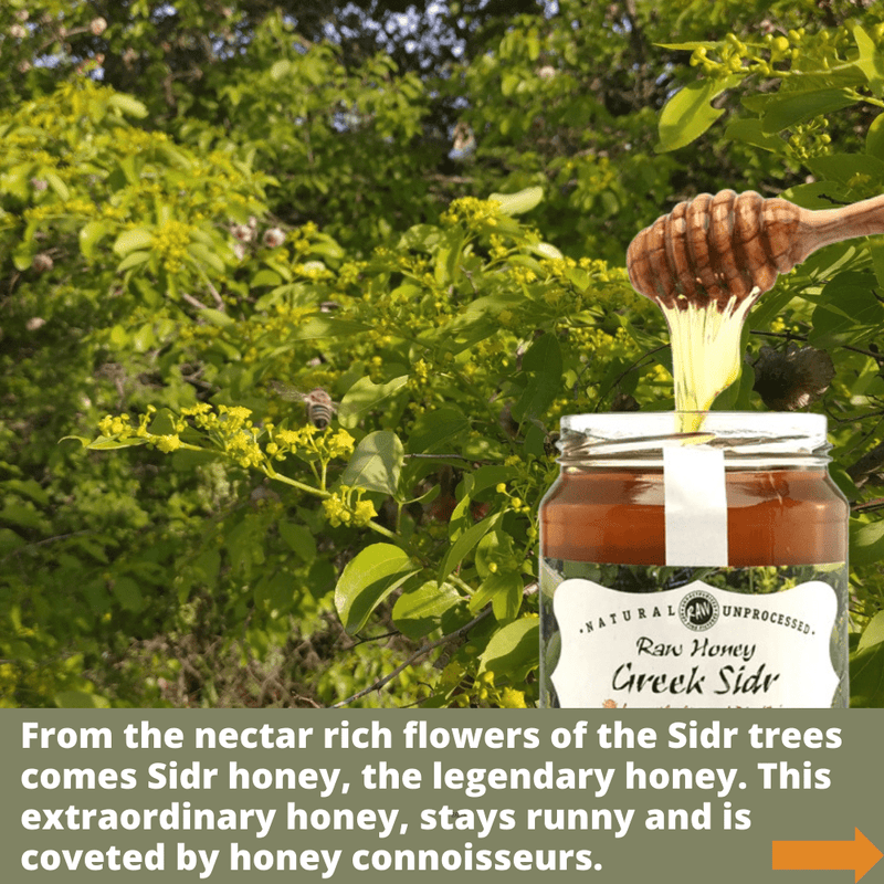 Greek Raw Sidr Honey - Active 15