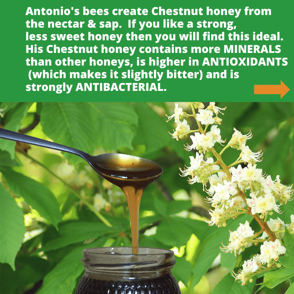 metal spoon on dark chestnut honey dripping into open glass honey jar, against background of chestnut leaves and flowers